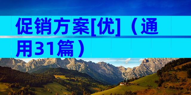 促销方案[优]（通用31篇）